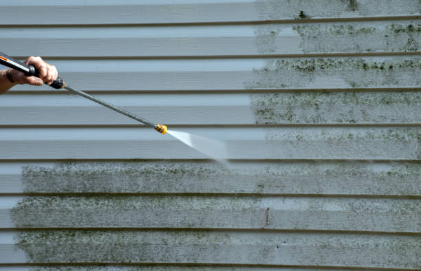 Best Local Mold Removal Service  in Summersville, WV