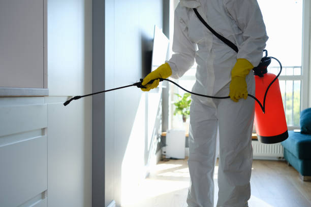 Best Local Mold Removal Service  in Summersville, WV